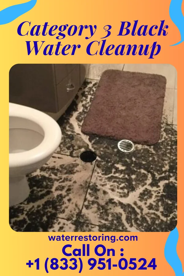 Category 3 Black Water Cleanup in Dentsville, SC
