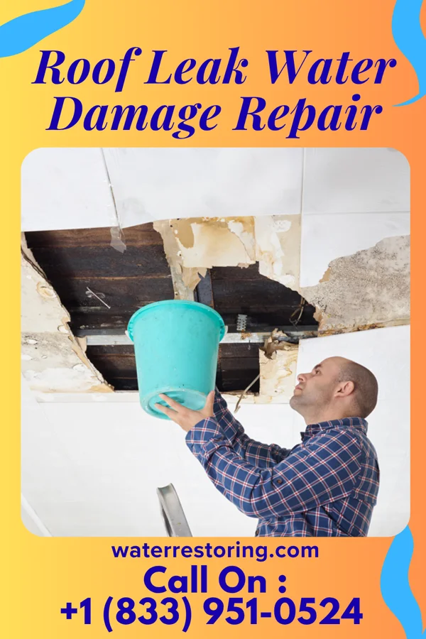 Roof Leak Water Damage Repair in Dentsville, SC